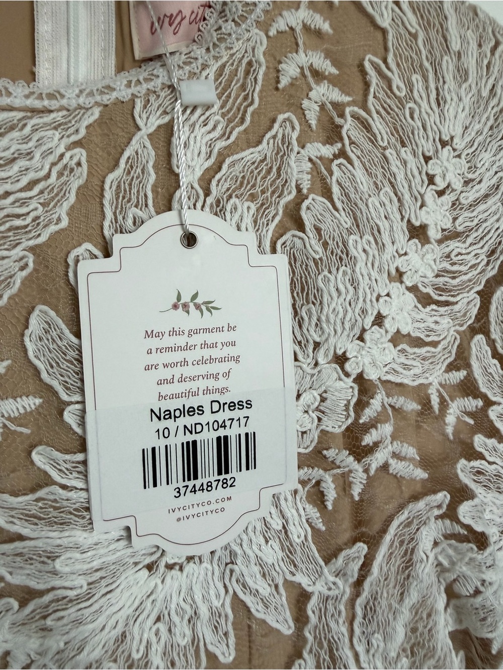 NWT Ivy City Co Naples Dress 10 in Lace - Picture 3 of 11